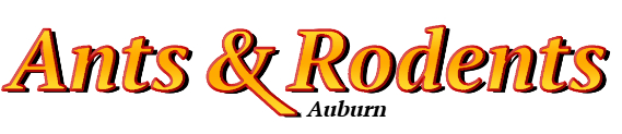 Auburn Ant Exterminator & Rodent Control Company Logo